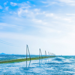 岱明海床路